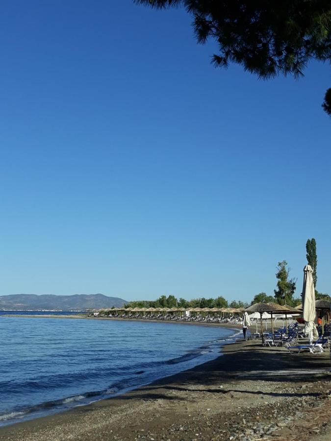 Gorjelina 'S House Villa Volos Ngoại thất bức ảnh