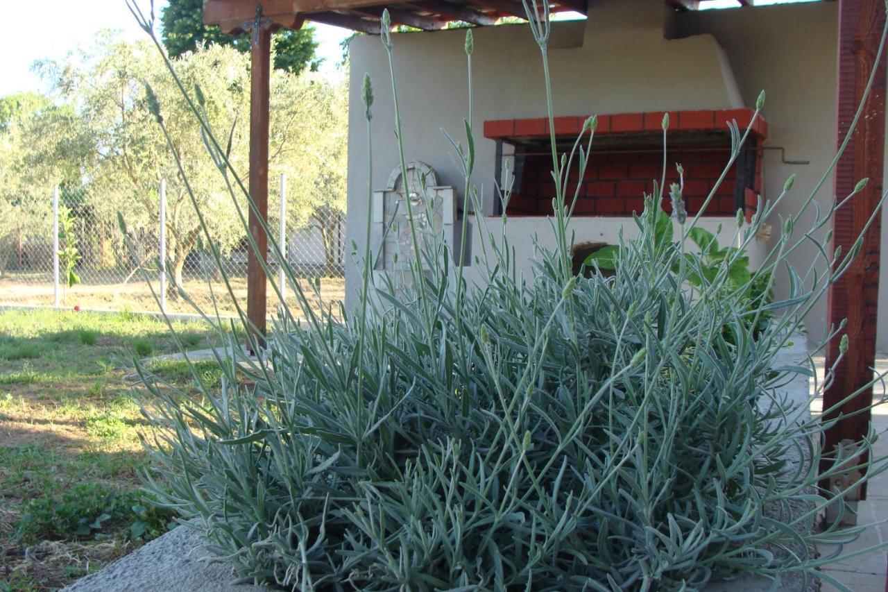 Gorjelina 'S House Villa Volos Ngoại thất bức ảnh